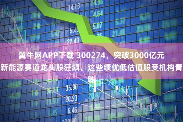 翼牛网APP下载 300274，突破3000亿元！新能源赛道龙头股狂飙，这些绩优低估值股受机构青睐
