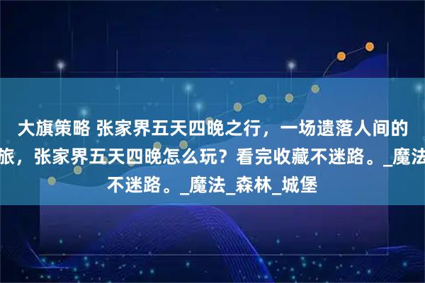 大旗策略 张家界五天四晚之行，一场遗落人间的童话秘境之旅，张家界五天四晚怎么玩？看完收藏不迷路。_魔法_森林_城堡